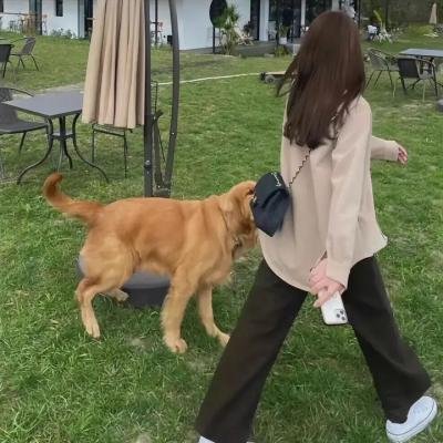 易烊千玺